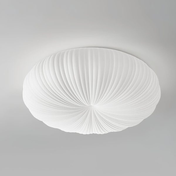 bobby ceiling light