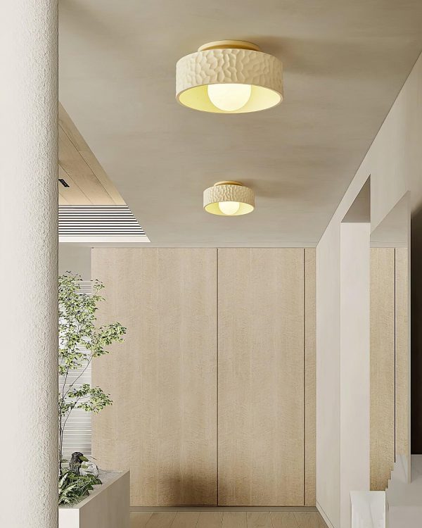 brito ceiling light