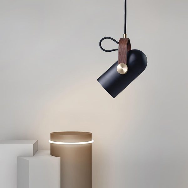 carronade pendant light