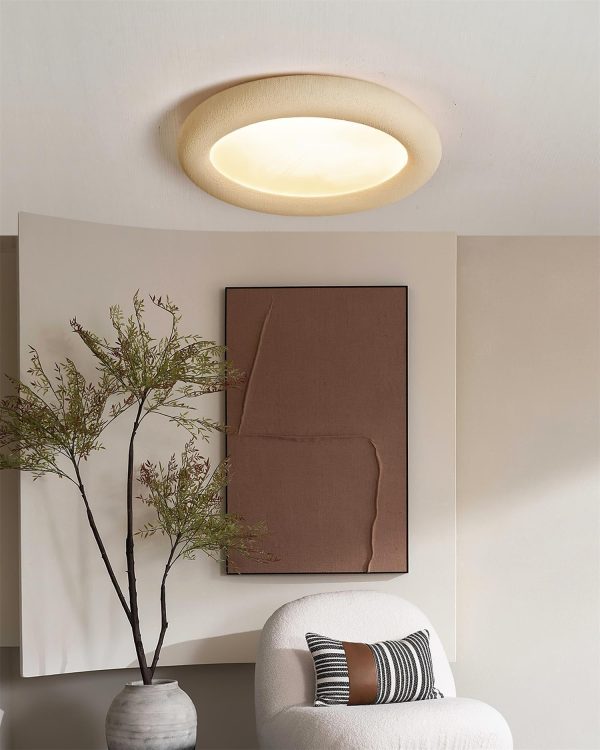 concise ceiling light