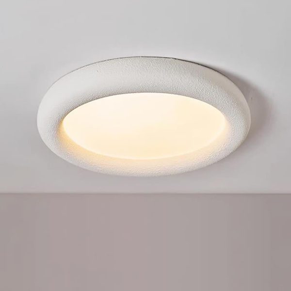 concise ceiling light