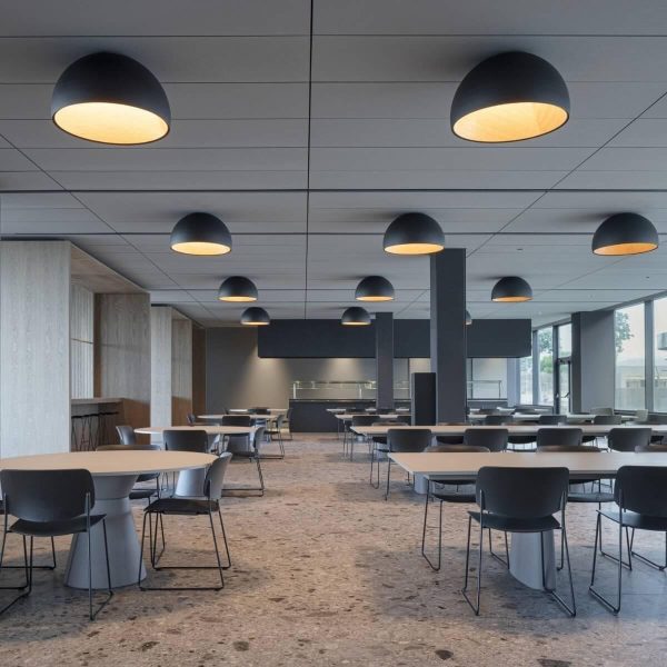 duo plane ceiling lamp