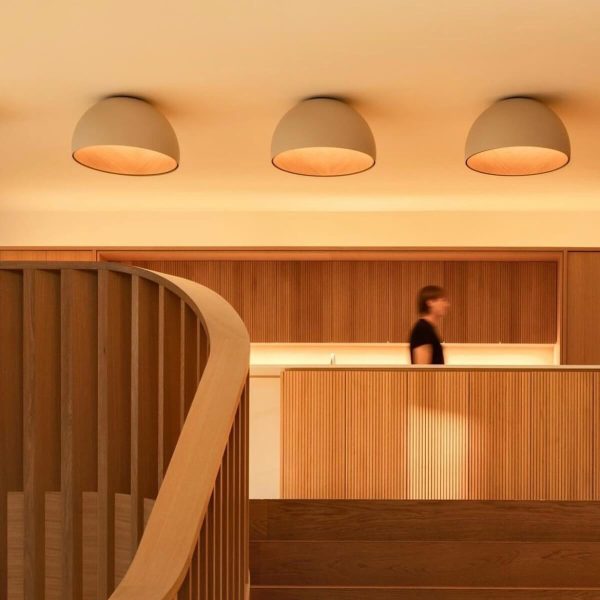 duo plane ceiling lamp