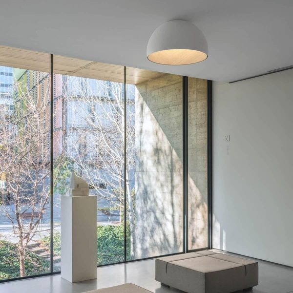 duo plane ceiling lamp