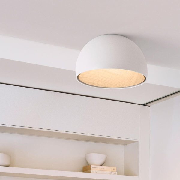 duo plane ceiling lamp