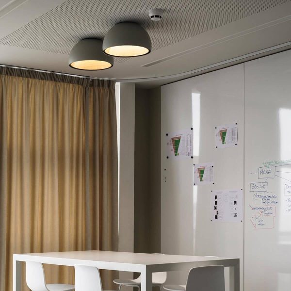 duo plane ceiling lamp