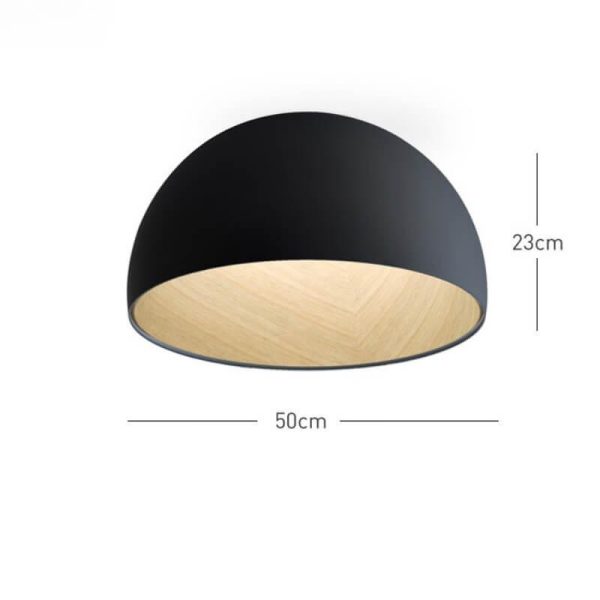 duo plane ceiling lamp