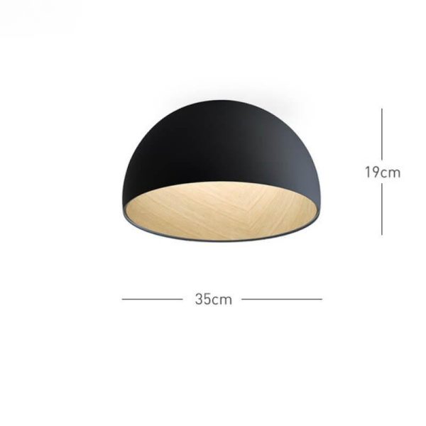 duo plane ceiling lamp