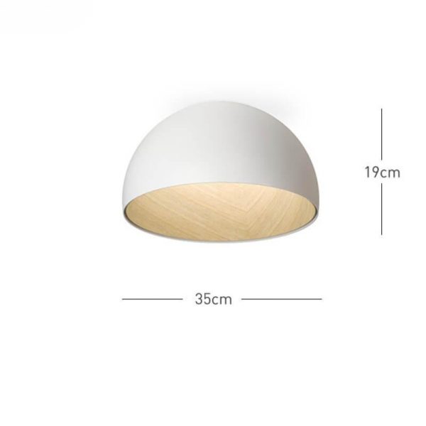 duo plane ceiling lamp