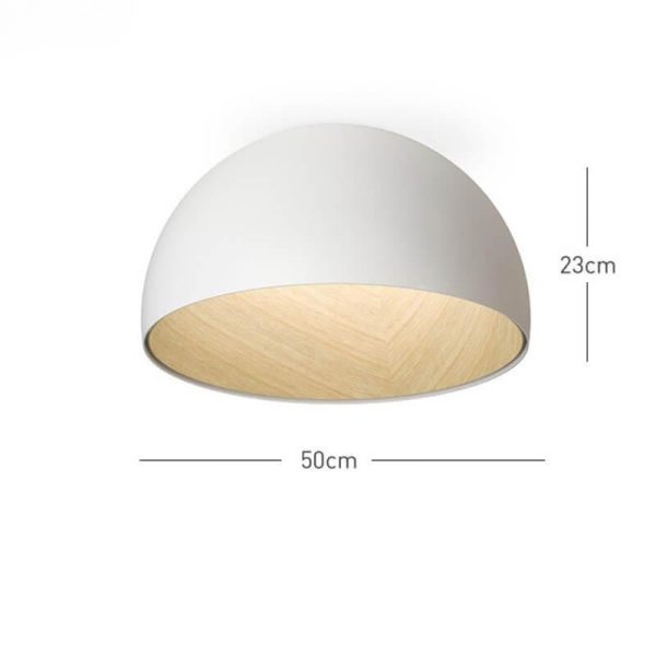 duo plane ceiling lamp