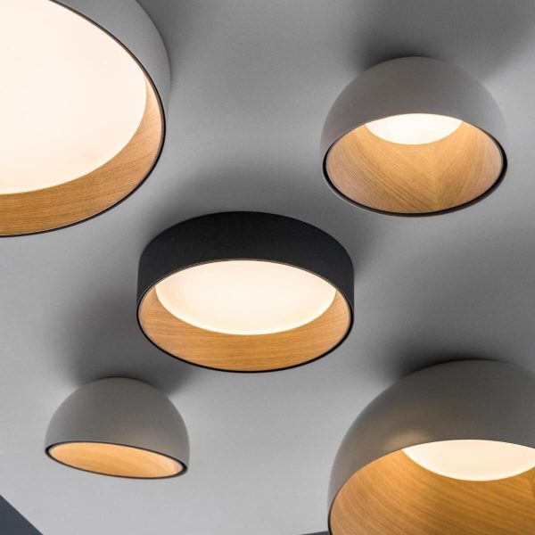 duo regular ceiling lamp