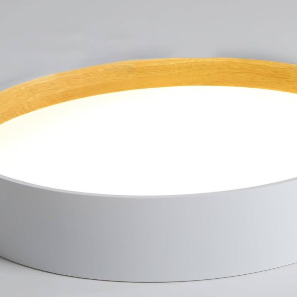 duo regular ceiling lamp