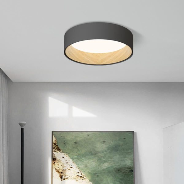 duo regular ceiling lamp