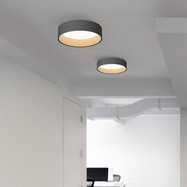 duo regular ceiling lamp