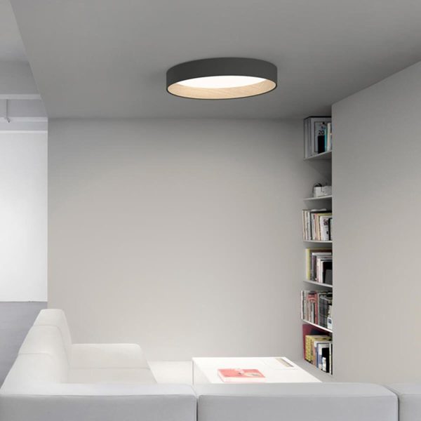 duo regular ceiling lamp