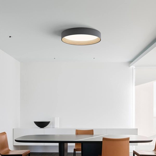 duo regular ceiling lamp