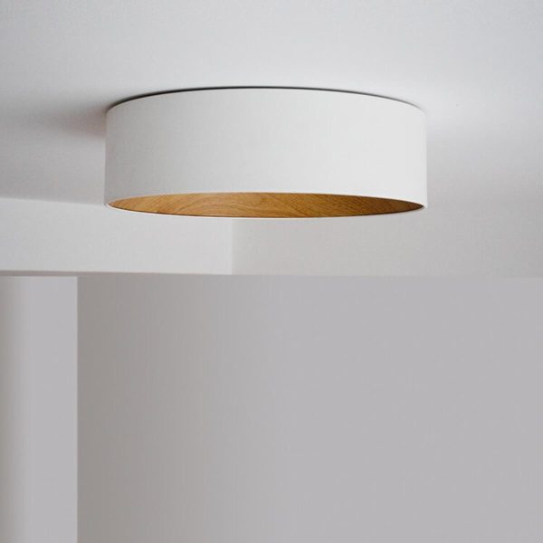 duo regular ceiling lamp