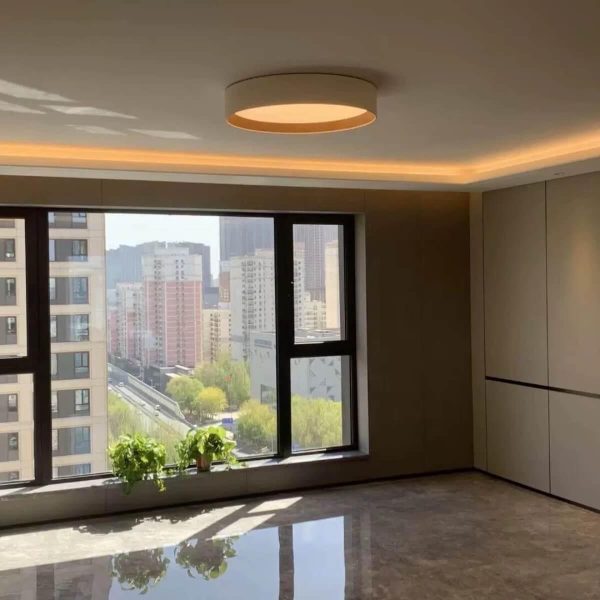 duo regular ceiling lamp