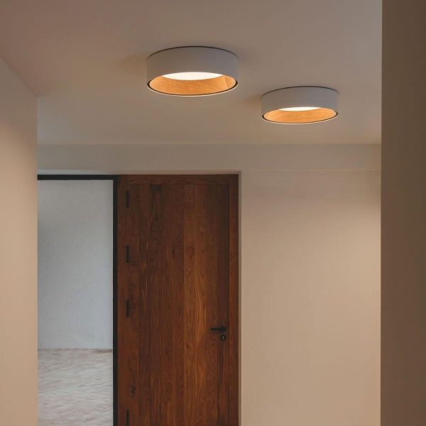 duo regular ceiling lamp