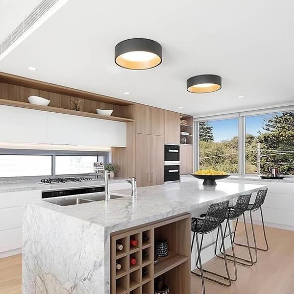 duo regular ceiling lamp