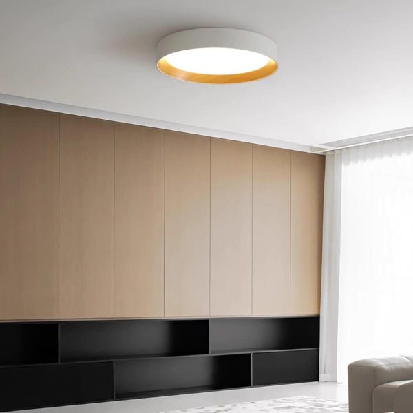 duo regular ceiling lamp