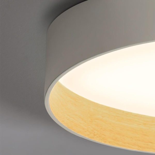 duo regular ceiling lamp