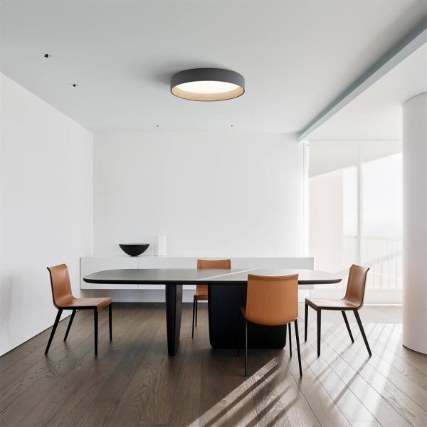 duo regular ceiling lamp