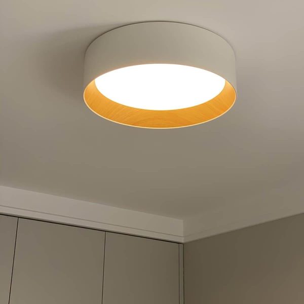 duo regular ceiling lamp