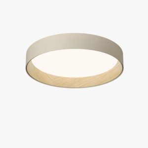 duo regular ceiling lamp
