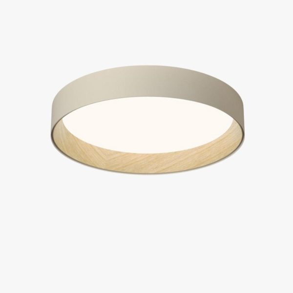 duo regular ceiling lamp