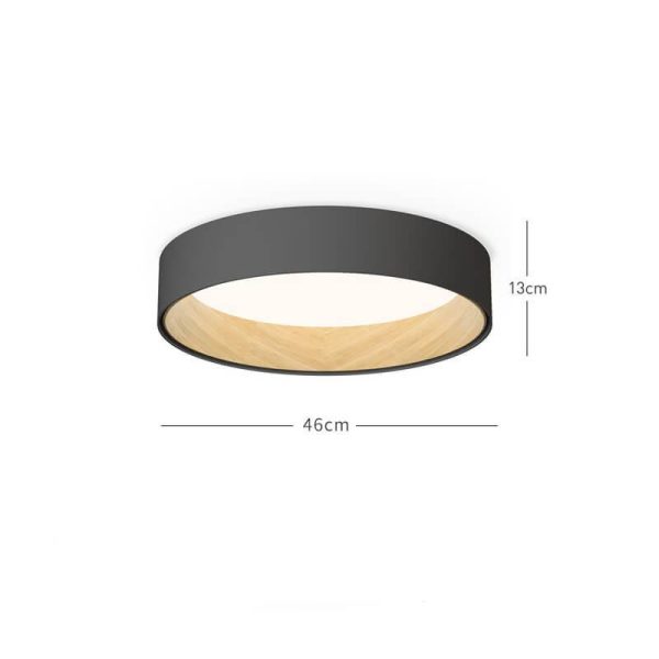 duo regular ceiling lamp