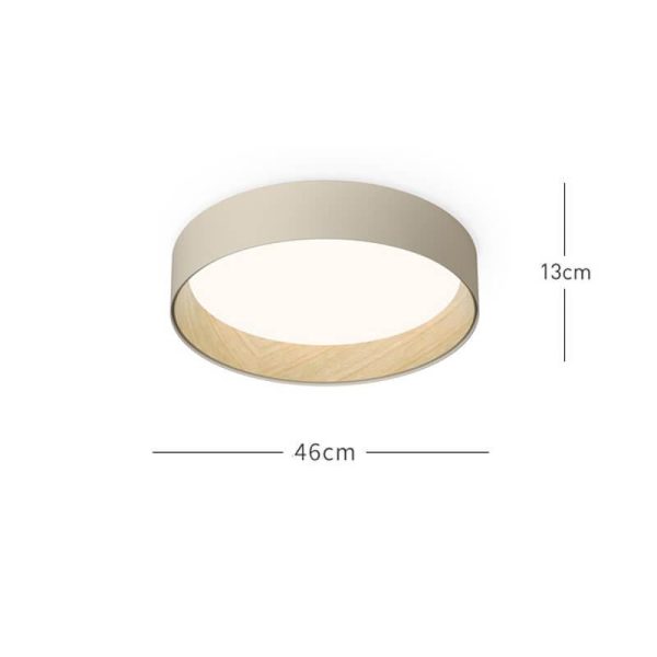 duo regular ceiling lamp
