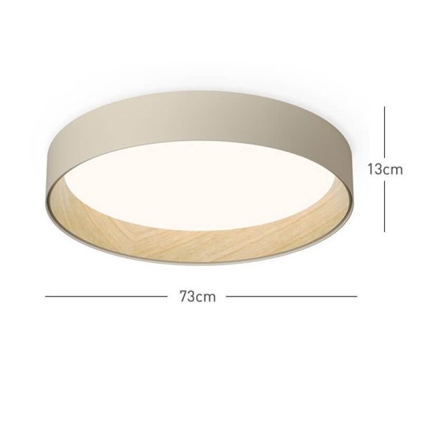 duo regular ceiling lamp