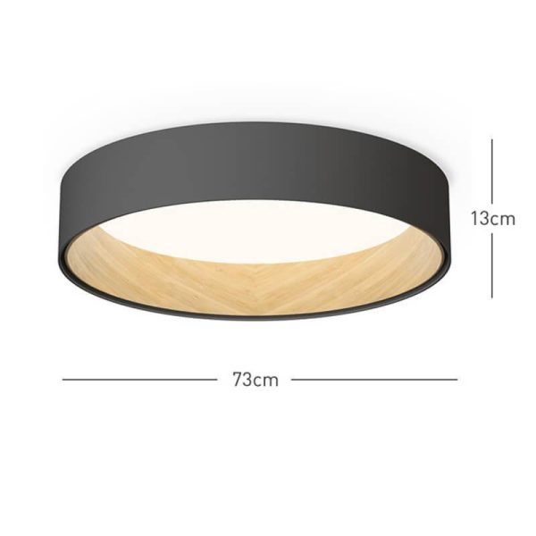 duo regular ceiling lamp
