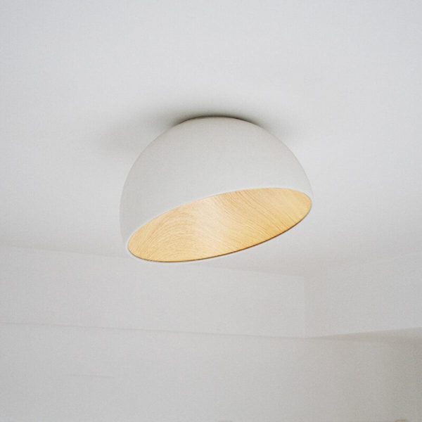 duo slanted ceiling lamp