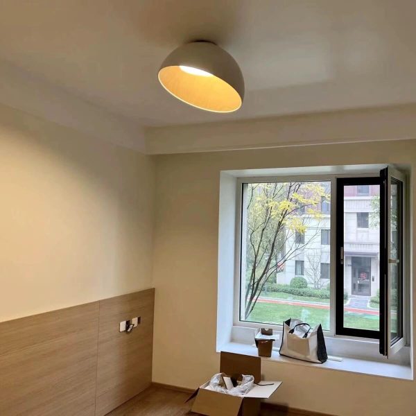 duo slanted ceiling lamp