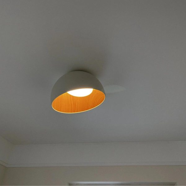 duo slanted ceiling lamp