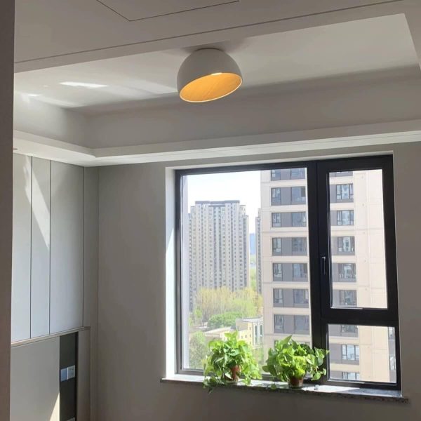 duo slanted ceiling lamp