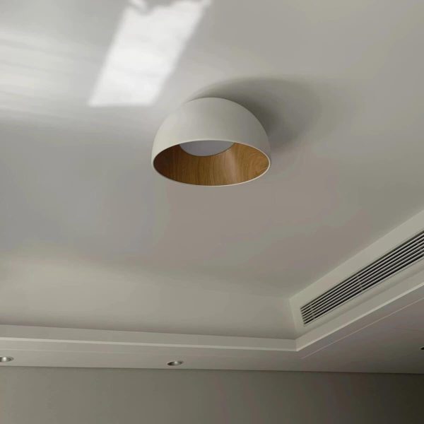 duo slanted ceiling lamp