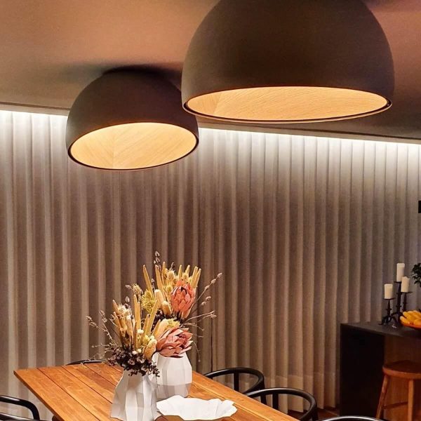 duo slanted ceiling lamp