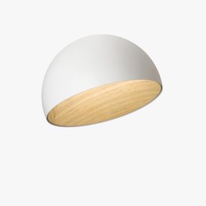 duo slanted ceiling lamp