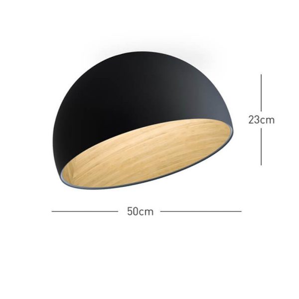 duo slanted ceiling lamp