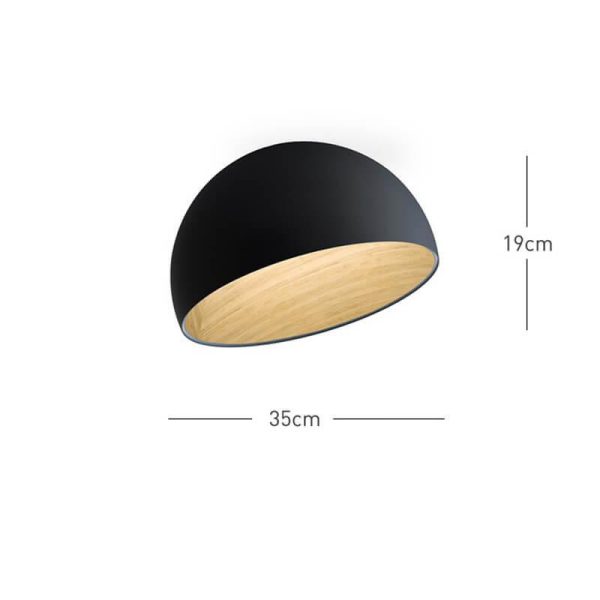 duo slanted ceiling lamp