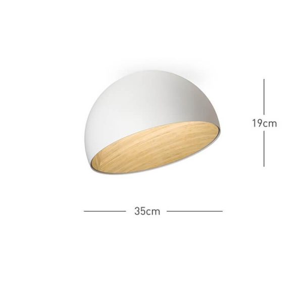 duo slanted ceiling lamp