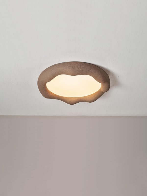 elsa ceiling light