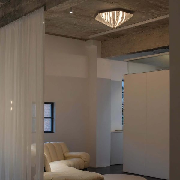 fragment ceiling lamp