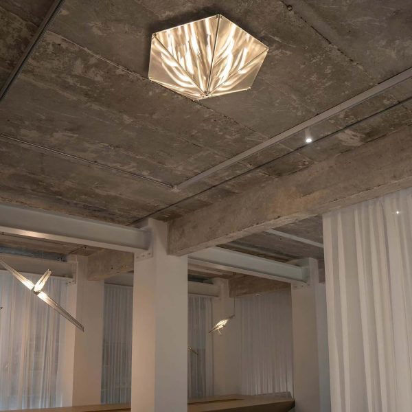 fragment ceiling lamp