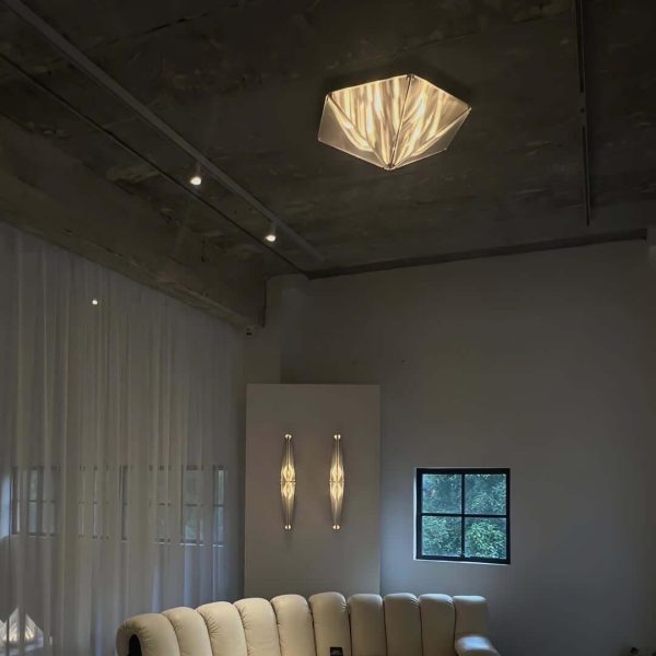 fragment ceiling lamp