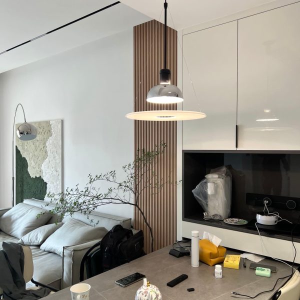 frisbi pendant lamp