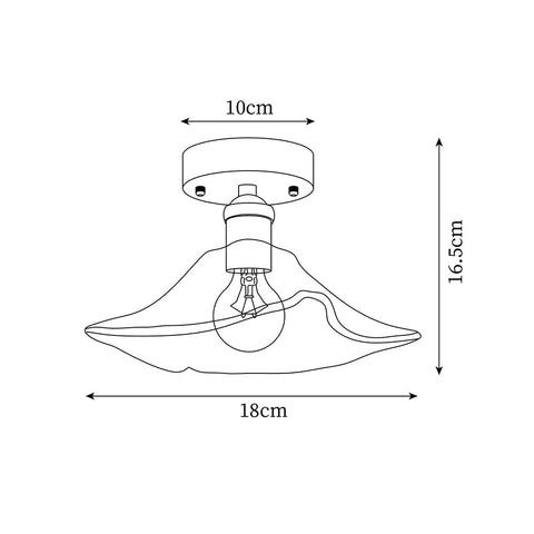Heaney_Ceiling_Light_size